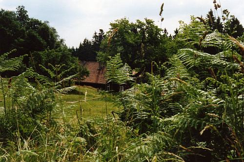 Blick auf Grünhütte